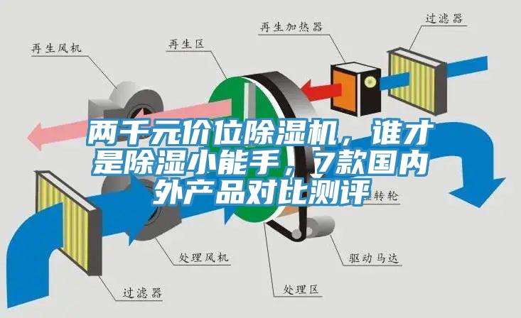 两千元价位91香蕉视频下载网站，谁才是除湿小能手，7款国内外产品对比测评