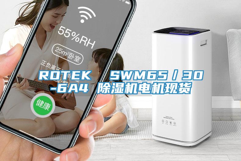 ROTEK  SWM65／30-6A4 91香蕉视频下载网站电机现货