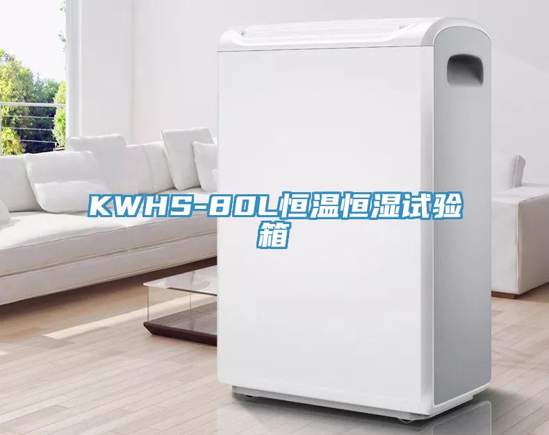 KWHS-80L恒温恒湿试验箱