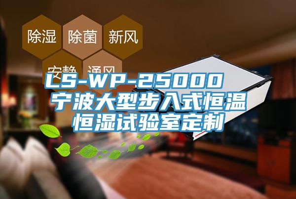 LS-WP-25000  宁波大型步入式恒温恒湿试验室定制