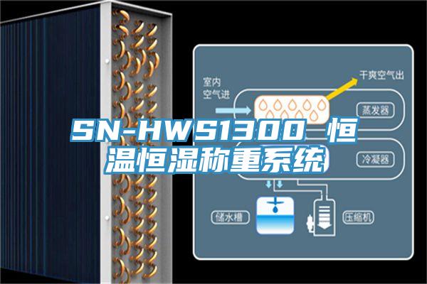 SN-HWS1300 恒温恒湿称重系统