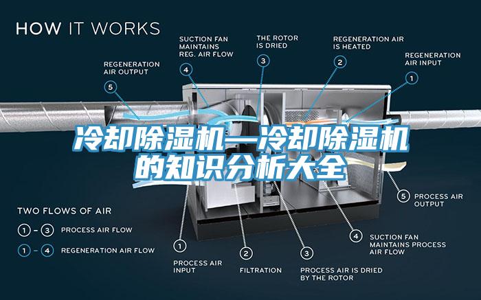 冷却91香蕉视频下载网站—冷却91香蕉视频下载网站的知识分析大全