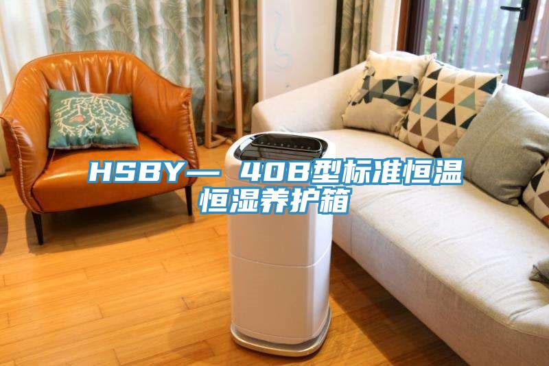 HSBY— 40B型标准恒温恒湿养护箱