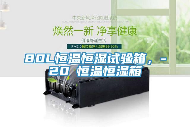 80L恒温恒湿试验箱，-20℃恒温恒湿箱