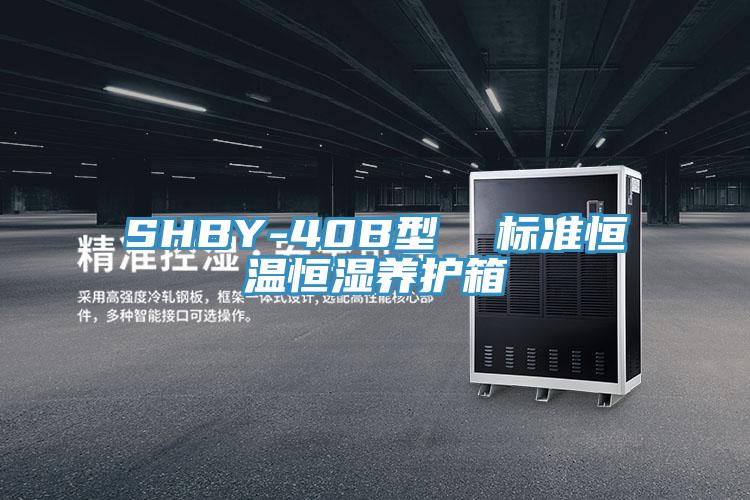 SHBY-40B型  标准恒温恒湿养护箱