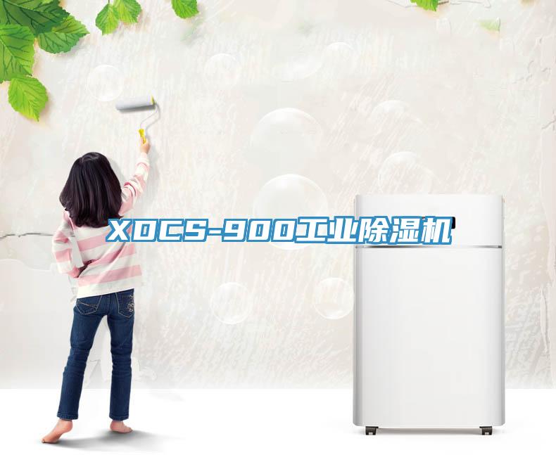 XDCS-900工业91香蕉视频下载网站