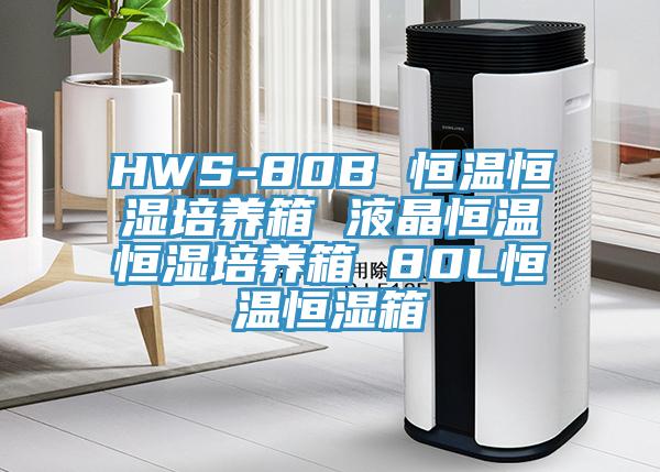 HWS-80B 恒温恒湿培养箱 液晶恒温恒湿培养箱 80L恒温恒湿箱