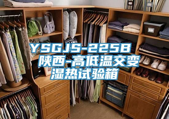 YSGJS-225B  陕西-高低温交变湿热试验箱