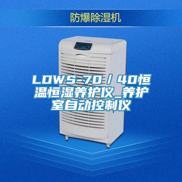 LDWS-70／40恒温恒湿养护仪_养护室自动控制仪