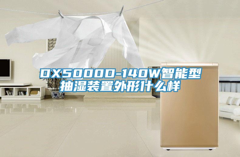 DX5000D-140W智能型抽湿装置外形什么样