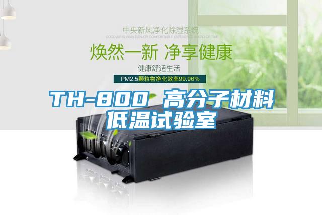 TH-800 高分子材料低温试验室