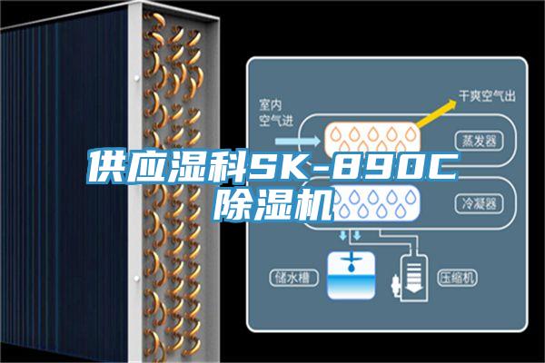 供应湿科SK-890C91香蕉视频下载网站