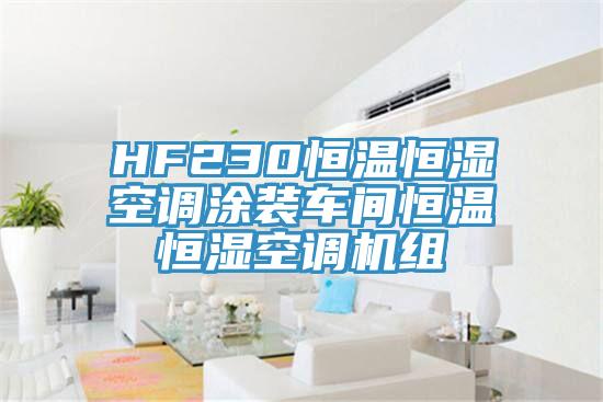 HF230恒温恒湿空调涂装车间恒温恒湿空调机组