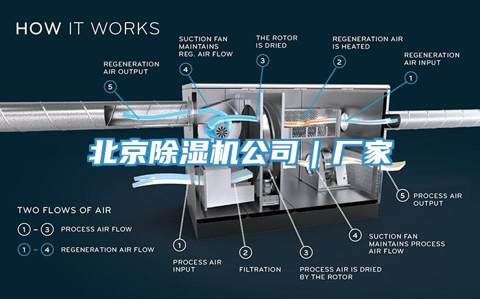 北京91香蕉视频下载网站公司｜厂家