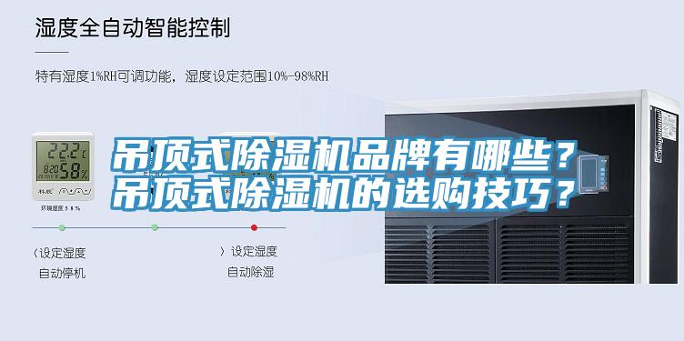 吊顶式91香蕉视频下载网站品牌有哪些？吊顶式91香蕉视频下载网站的选购技巧？