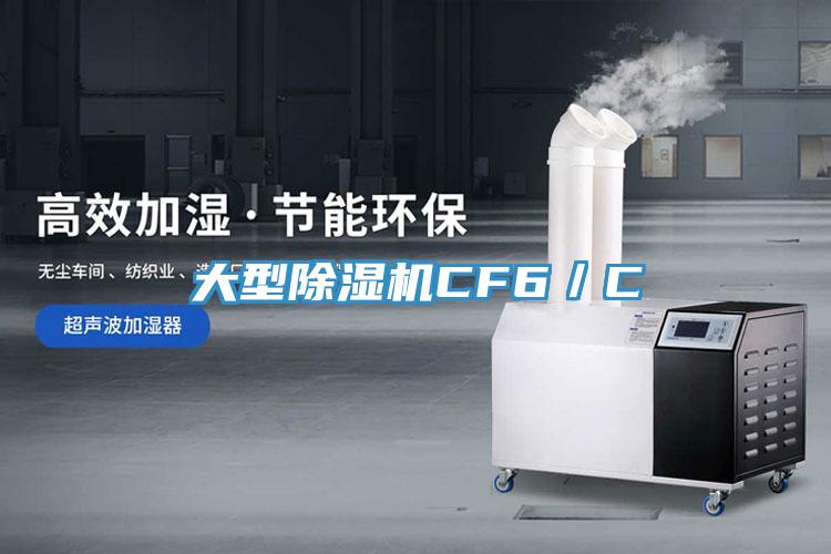 大型91香蕉视频下载网站CF6／C