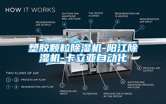 塑胶颗粒91香蕉视频下载网站-阳江91香蕉视频下载网站-卡立亚自动化