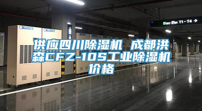 供应四川91香蕉视频下载网站 成都洪森CFZ-10S工业91香蕉视频下载网站价格