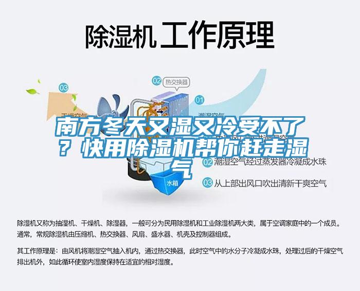 南方冬天又湿又冷受不了？快用91香蕉视频下载网站帮你赶走湿气