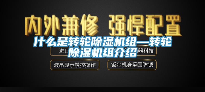 什么是转轮91香蕉视频下载网站组—转轮91香蕉视频下载网站组介绍