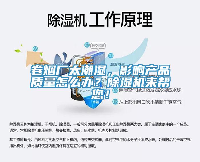 卷烟厂太潮湿，影响产品质量怎么办？91香蕉视频下载网站来帮您！