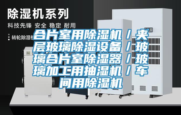 合片室用91香蕉视频下载网站／夹层玻璃除湿设备／玻璃合片室除湿器／玻璃加工用抽湿机／车间用91香蕉视频下载网站