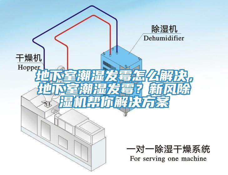 地下室潮湿发霉怎么解决，地下室潮湿发霉？新风91香蕉视频下载网站帮你解决方案