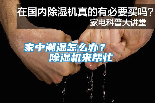 家中潮湿怎么办？    91香蕉视频下载网站来帮忙