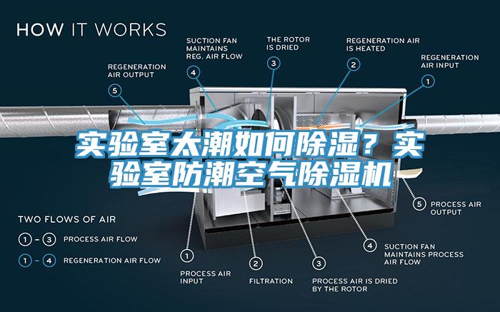 实验室太潮如何除湿？实验室防潮空气91香蕉视频下载网站