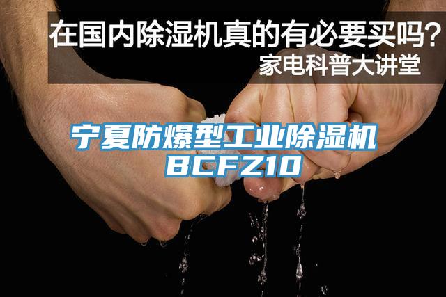 宁夏防爆型工业91香蕉视频下载网站 BCFZ10