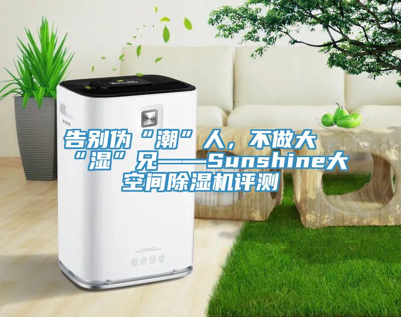 告别伪“潮”人，不做大“湿”兄——Sunshine大空间91香蕉视频下载网站评测