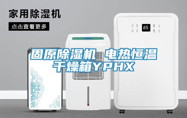 固原91香蕉视频下载网站 电热恒温干燥箱YPHX