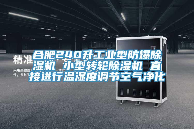 合肥240升工业型防爆91香蕉视频下载网站 小型转轮91香蕉视频下载网站 直接进行温湿度调节空气净化