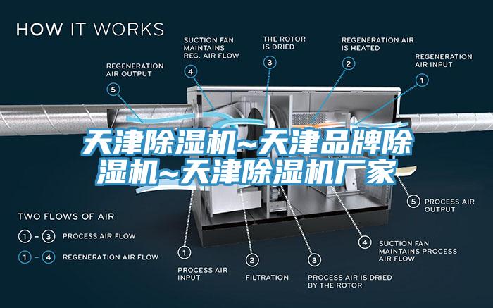 天津91香蕉视频下载网站~天津品牌91香蕉视频下载网站~天津91香蕉视频下载网站厂家