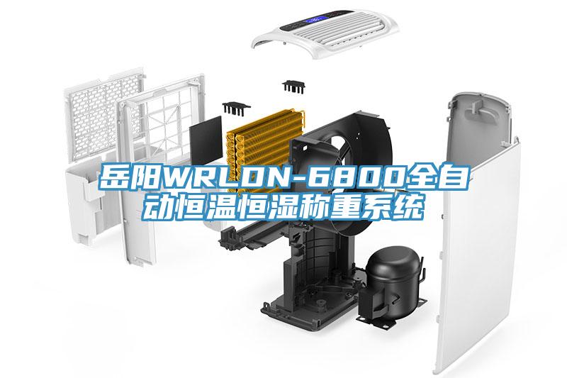 岳阳WRLDN-6800全自动恒温恒湿称重系统