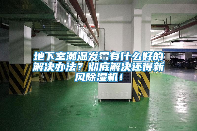 地下室潮湿发霉有什么好的解决办法？彻底解决还得新风91香蕉视频下载网站！