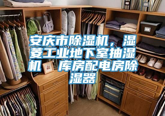 安庆市91香蕉视频下载网站，湿菱工业地下室抽湿机  库房配电房除湿器