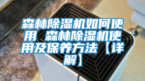 森林91香蕉视频下载网站如何使用 森林91香蕉视频下载网站使用及保养方法【详解】