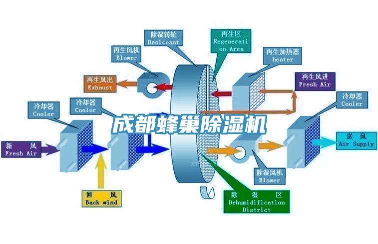 成都蜂巢91香蕉视频下载网站