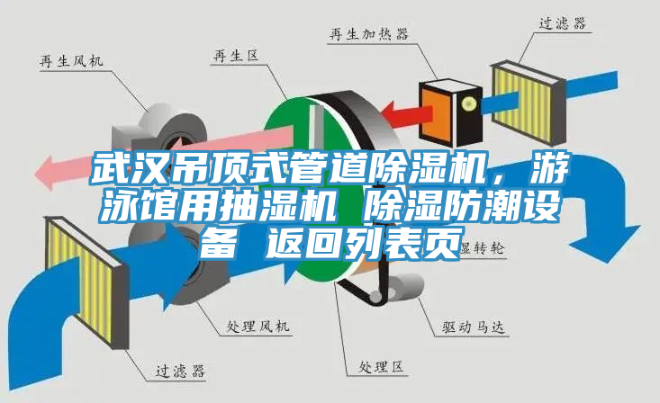 武汉吊顶式管道91香蕉视频下载网站，游泳馆用抽湿机 除湿防潮设备 返回列表页