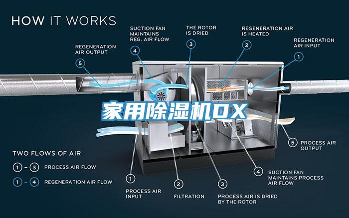 家用91香蕉视频下载网站DX