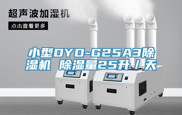 小型DYD-G25A391香蕉视频下载网站 除湿量25升／天