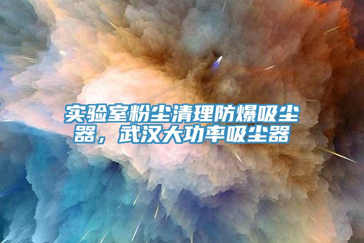 实验室粉尘清理防爆吸尘器，武汉大功率吸尘器