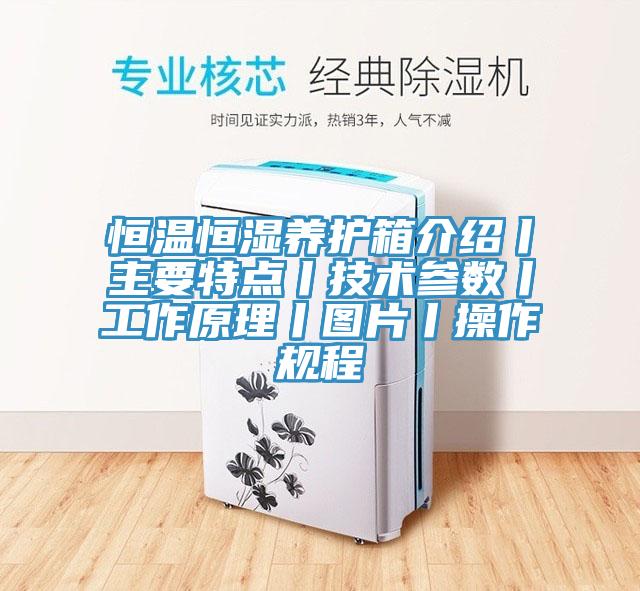 恒温恒湿养护箱介绍丨主要特点丨技术参数丨工作原理丨图片丨操作规程