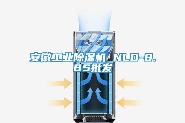 安徽工业91香蕉视频下载网站 NLD-8.8S批发