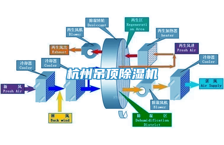 杭州吊顶91香蕉视频下载网站