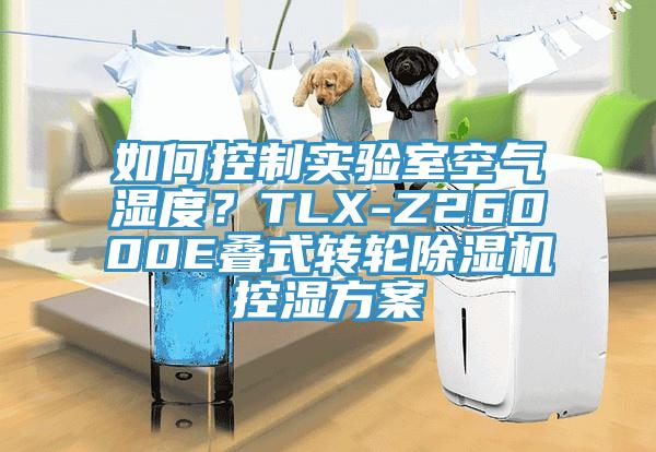 如何控制实验室空气湿度？TLX-Z26000E叠式转轮91香蕉视频下载网站控湿方案