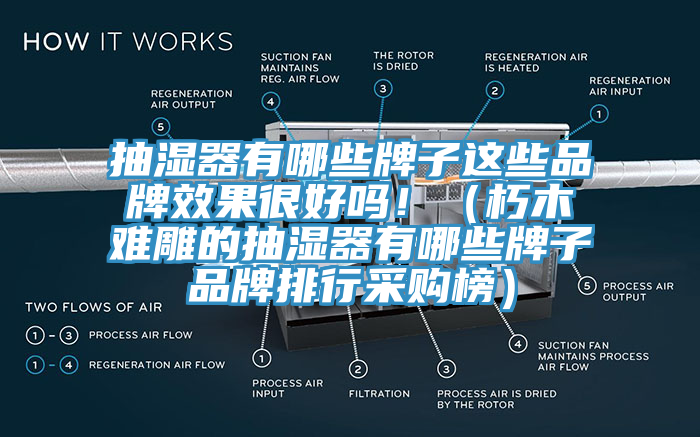 抽湿器有哪些牌子这些品牌效果很好吗！（朽木难雕的抽湿器有哪些牌子品牌排行采购榜）