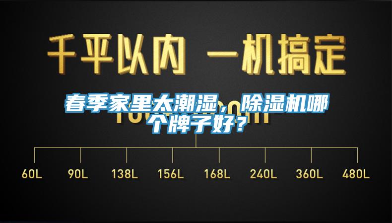 春季家里太潮湿，91香蕉视频下载网站哪个牌子好？