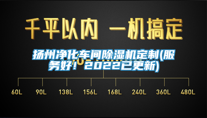 扬州净化车间91香蕉视频下载网站定制(服务好！2022已更新)